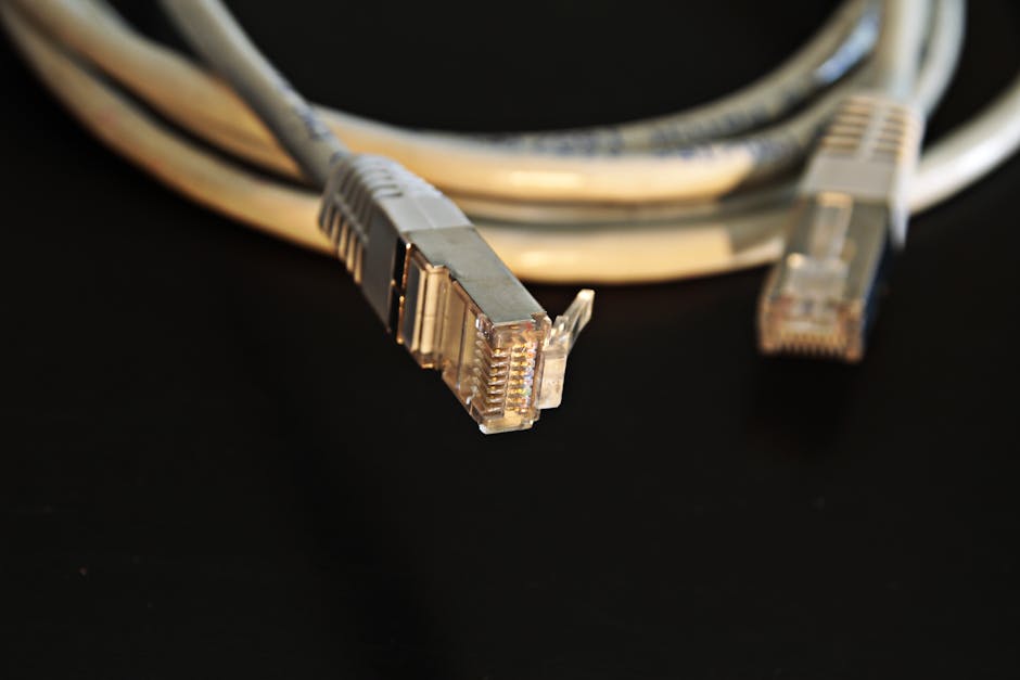 network-network-cables-connection-plug-163047
