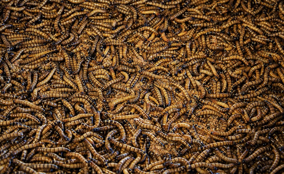 pexels-photo-35412657-sluchaj-informacji-plynacych-z-wlasciwych-zrodel