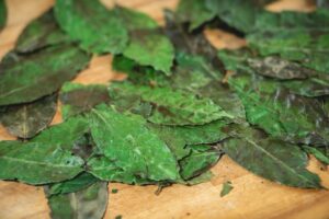 pexels-photo-3595421