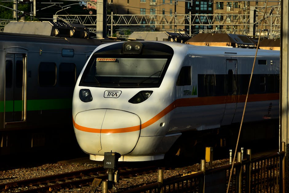 zasada-80-20-pexels-photo-35351730