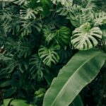 pexels-photo-4596640-migracja-do-sap-s-4hana-jak-przygotowac-firme-do-transformacji-cyfrowej-i-wykorzystac-pelen-potencjal-danych-start-up